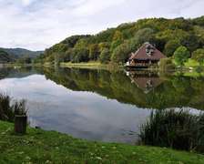 Eifel & See - Ferienwohnungen am Waldsee Rieden/Eifel