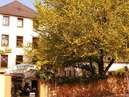 Stadthotel Handelshof