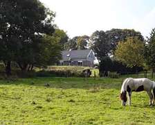 P�hl am Nationalpark Eifel