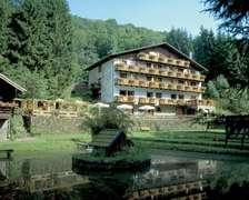 Wolffhotel