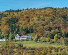 Waldhotel Sonnenberg